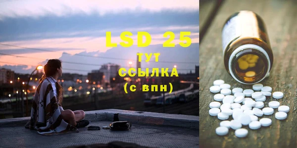 PSILOCYBIN Алзамай