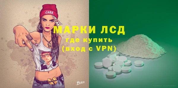 PSILOCYBIN Алзамай