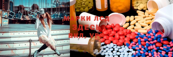 PSILOCYBIN Алзамай